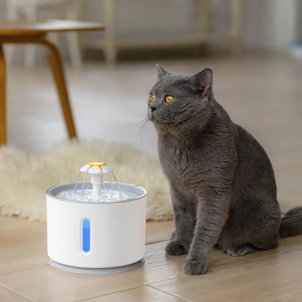 Automatic Pet Cat Water Fountain with LED Lighting 5 Pack Filters 2.4L USB  Mute Drinking Dispenser