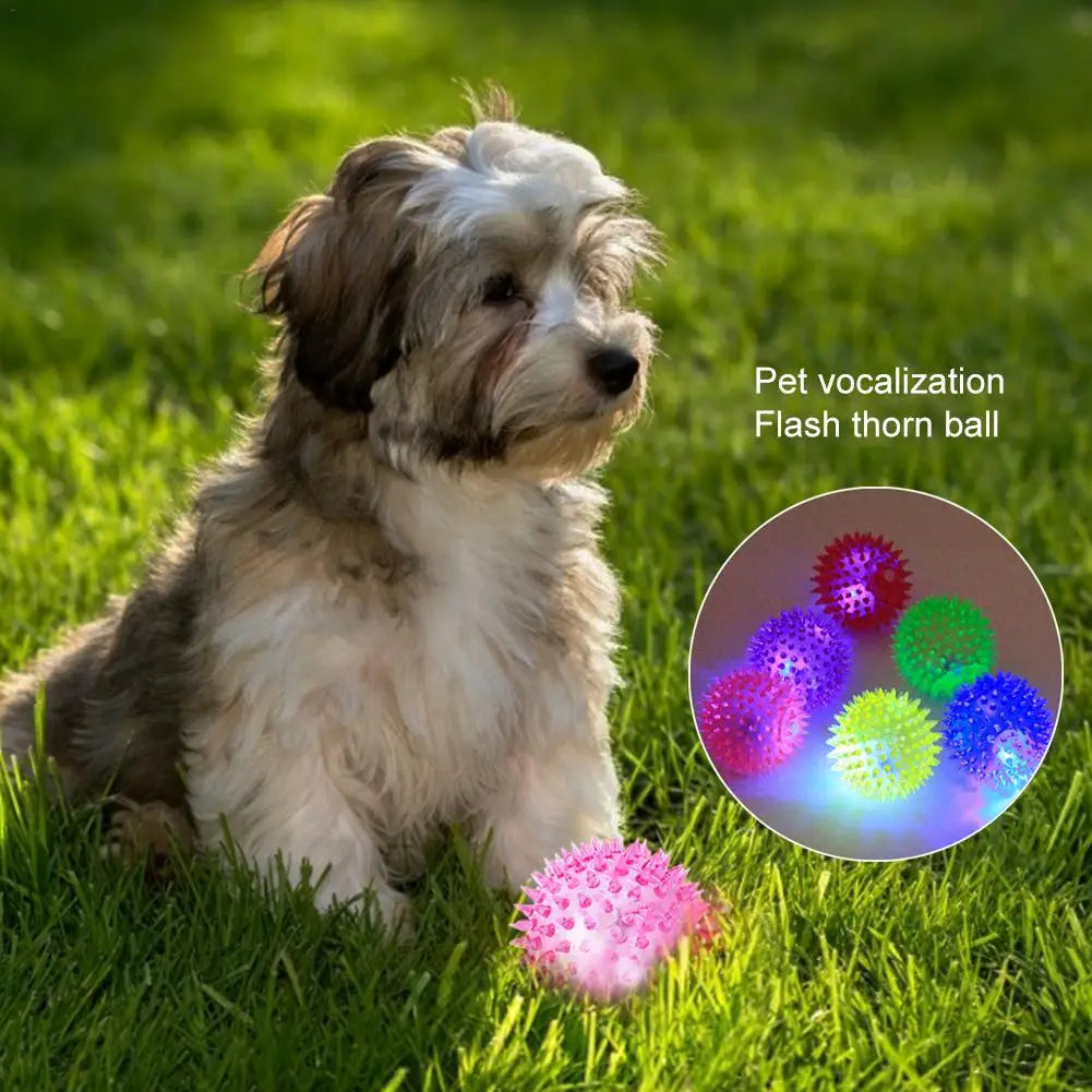 Dog Squeaky Toys Colorful Soft Rubber Luminous Pet Puppy Dog Chewing Playing Elastic Hedgehog Ball Toy Small Pet Supplies